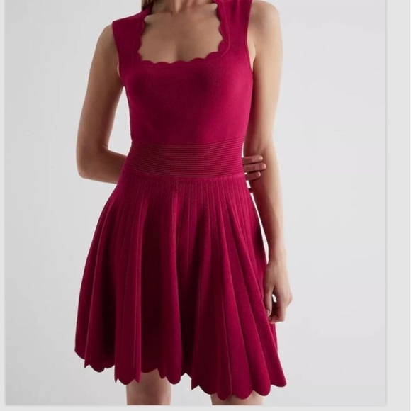 NWT Express Sleeveless Fit & Flare Sweater Tank Dress Pleat Look Red Wine Sm - Picture 1 of 4